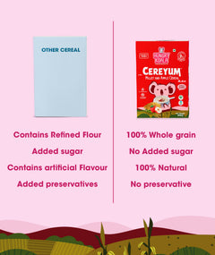 WEIGHT PROMOTER COMBO — SPROUTED MOONG & MILLET APPLE